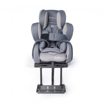 Детское автомобильное кресло ДЦП LIWCare Baffin.1 в Алматы