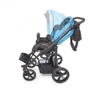 Детская прогулочная коляска ДЦП Liwcare Modi Buggy на раме Rico в Алматы