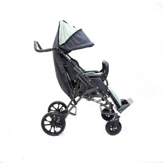 Детская прогулочная коляска ДЦП ЗСО Vita Buggy 7450 в Алматы