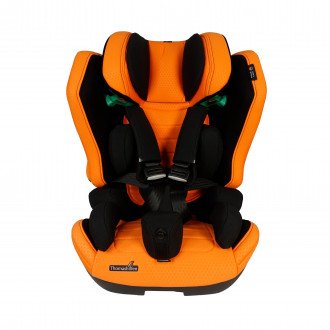Детское автомобильное кресло ДЦП Thomashilfen RECARO Axion 1 Reha в Алматы