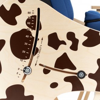 Детская комнатная кресло-коляска Akcesmed Dalmatian Invanto Dt-2 в Алматы