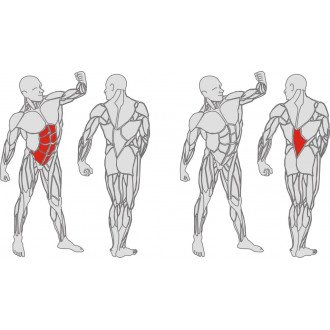 Тренажёр механотерапевтический для мышц пресса и спины Hur Rehabilitation 5310 в Алматы