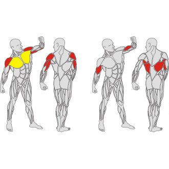 Тренажёр механотерапевтический для мышц груди, спины и рук Hur Rehabilitation 5120 в Алматы