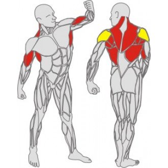 Тренажёр механотерапевтический для рук и спины Hur Rehabilitation 5175 в Алматы