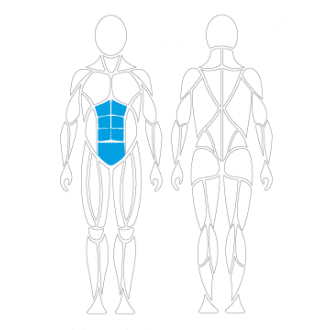 Тренажёр механотерапевтический для пресса David Abdominal Crunch G130 в Алматы