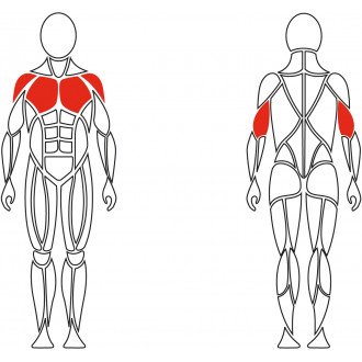 Тренажёр механотерапевтический для мышц груди David Chest Press G510 в Алматы