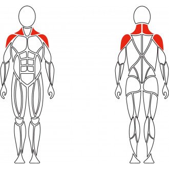Тренажер механотерапевтический David Shoulder Concept F620 разведение рук в стороны в Алматы