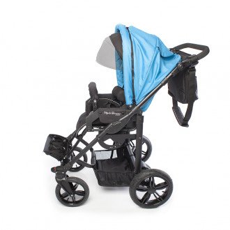 Детская прогулочная коляска ДЦП LIWCare Modi Buggy в Алматы
